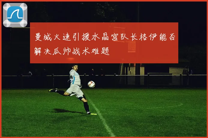 曼城火速引援水晶宫队长格伊能否解决瓜帅战术难题