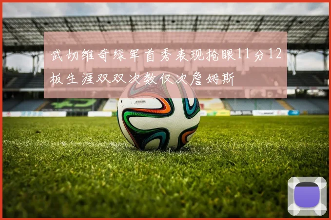 武切维奇绿军首秀表现抢眼11分12板生涯双双次数仅次詹姆斯