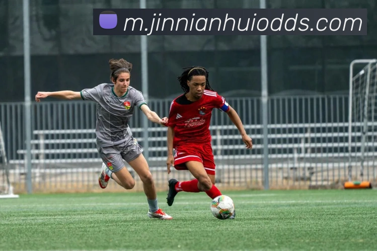 金年会APP 体育赛事宣传图